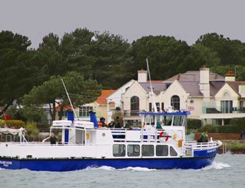 Sail the Jurassic Coast with Coastal Cruises Poole