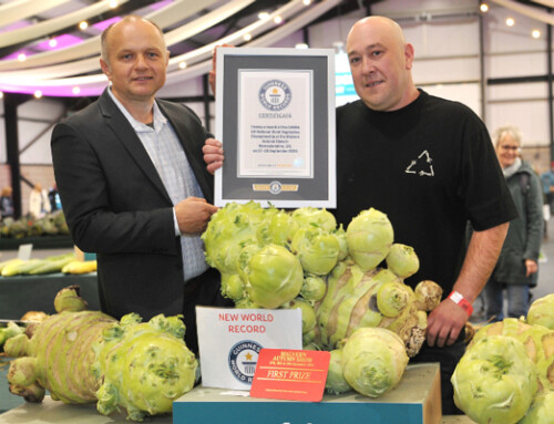 Malvern Autumn Show this September