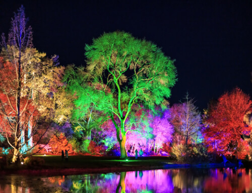 RHS Glow tickets now available