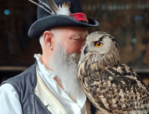 St Mary’s Guildhall presents new falconry experience