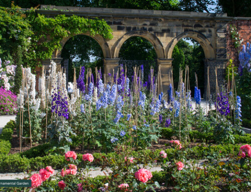 New CTA member The Alnwick Garden welcomes coach groups