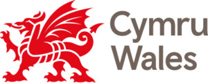 CTA Partner - Visit Wales