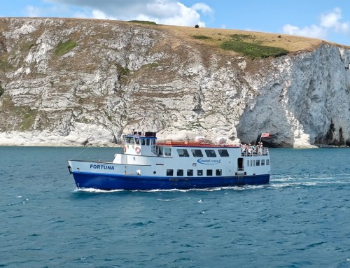 Kingston Lacy and Coastal Cruises Poole host fam trips at CTA Winter Networking