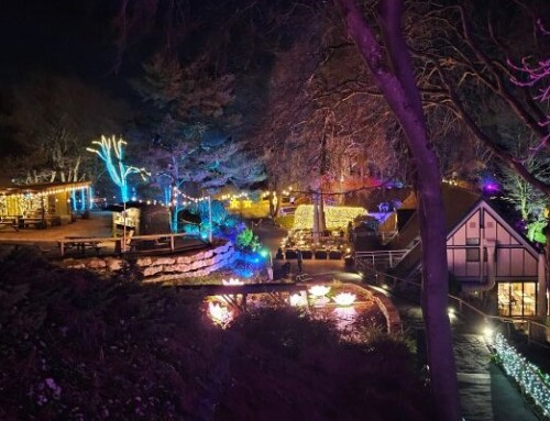 Lights of Abraham to shine bright this winter