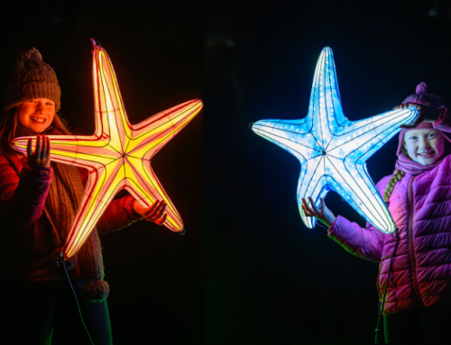 Edinburgh Zoo Giant Lanterns Trail to return this winter