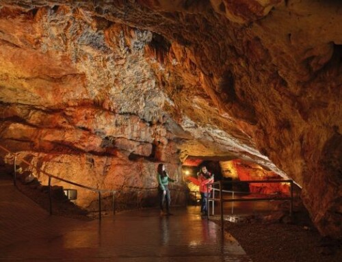 Kents Cavern Prehistoric Caves joins CTA